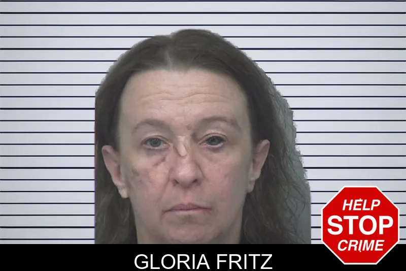 Gloria Fritz mugshot – Gwinnett County , Georgia Gloria Fritz mugshot