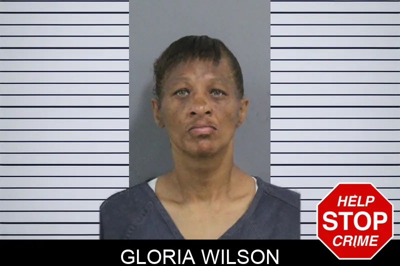Gloria Wilson mugshot
