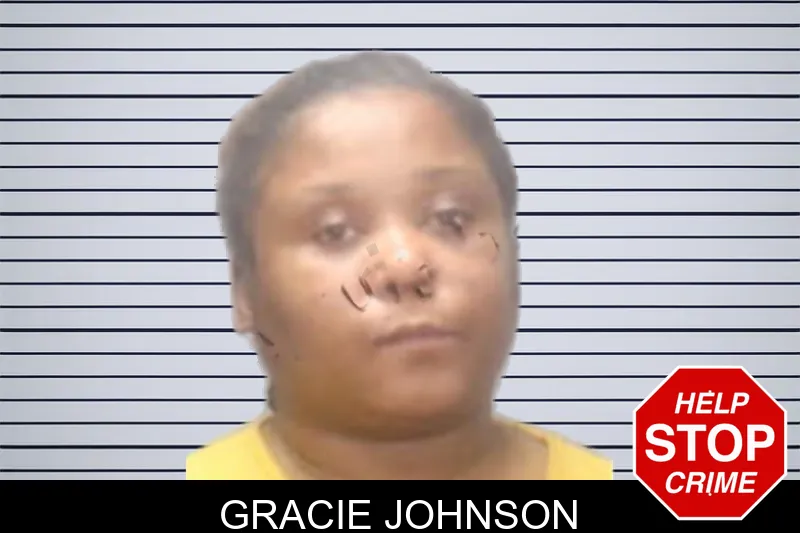Gracie Johnson Mugshots