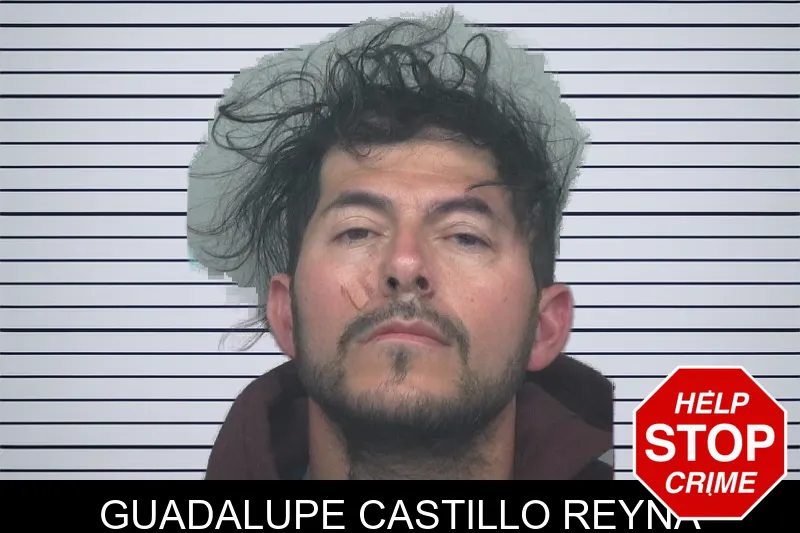 Guadalupe Castillo Reyna mugshot