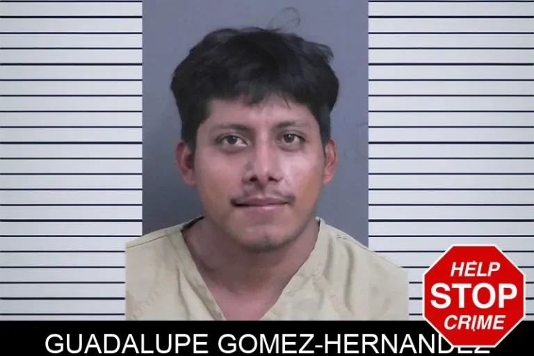 Guadalupe Gomez-Hernandez