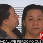 Guadalupe Perdomo-Cubias Mugshots
