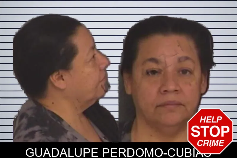 Guadalupe Perdomo-Cubias Mugshots