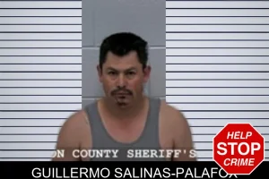 Guillermo Salinas-Palafox mugshot