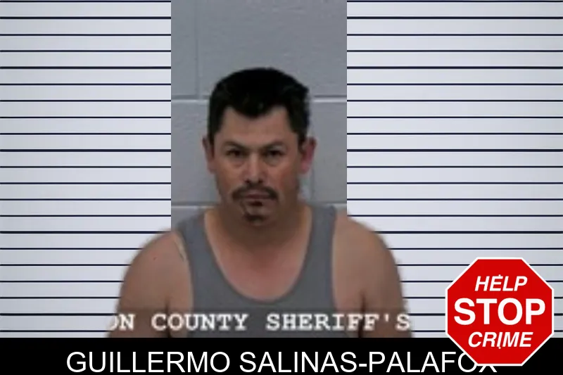 Guillermo Salinas-Palafox Mugshots