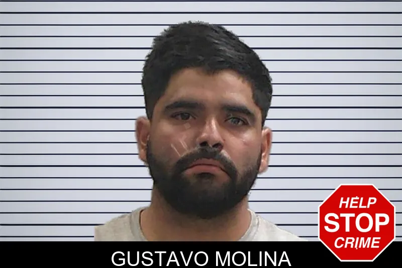 Gustavo Molina Mugshots