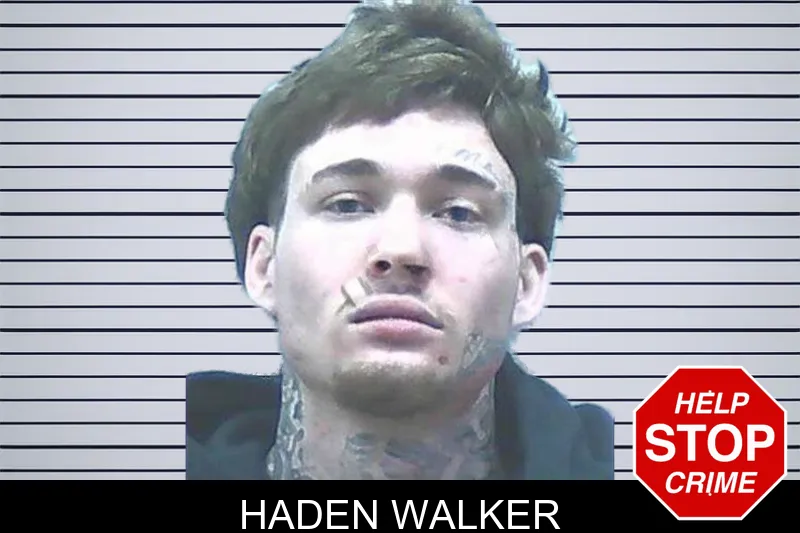 Haden Walker Mugshots