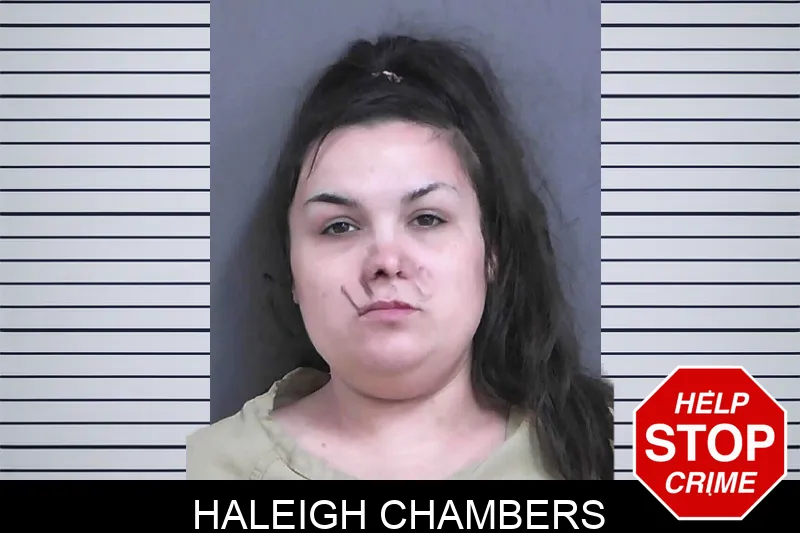 Haleigh Chambers mugshot – Gordon County , Georgia Haleigh Chambers mugshot