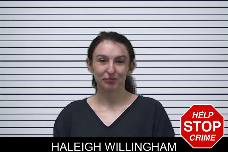 Haleigh Willingham Mugshots