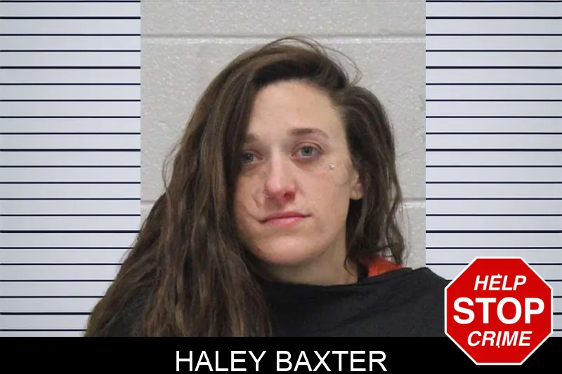Haley Baxter Mugshots