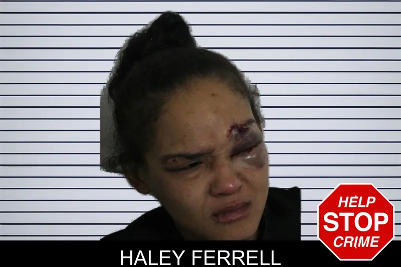 Haley Ferrell mugshot