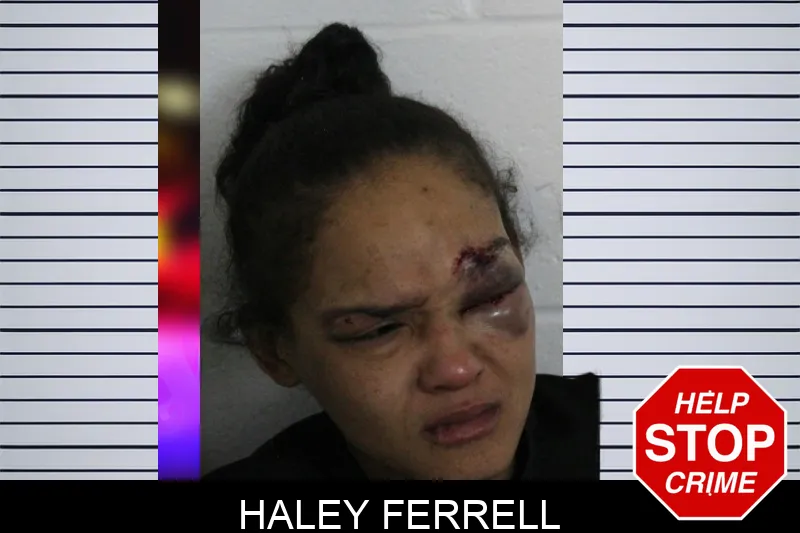 Haley Ferrell Mugshots
