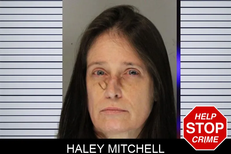 Haley Mitchell mugshot – Hall County , Georgia Haley Mitchell mugshot