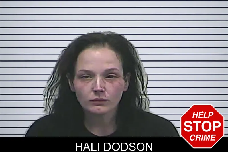 Hali Dodson mugshot