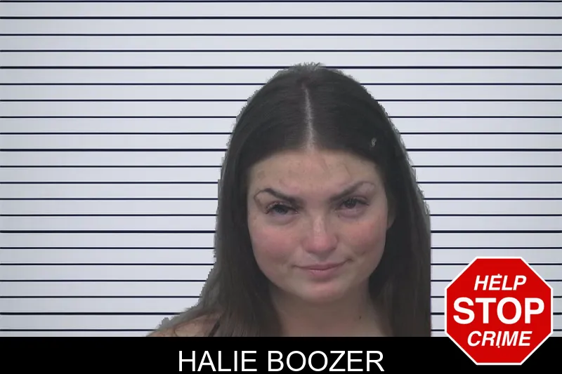 Halie Boozer Mugshots