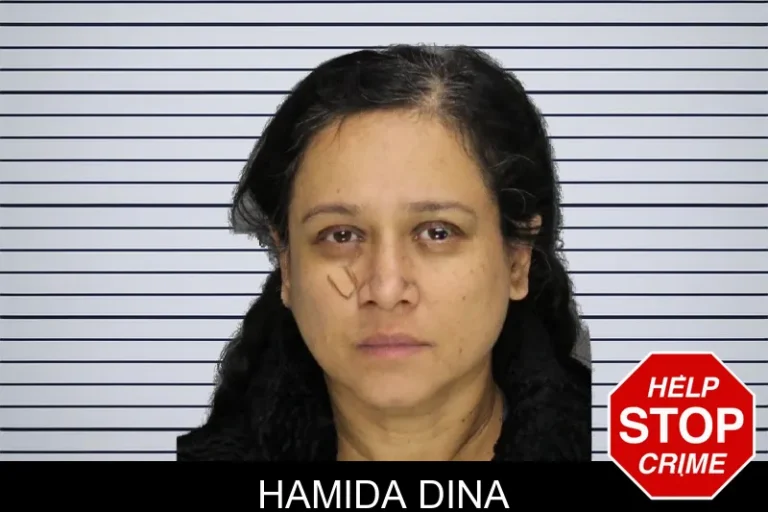 Hamida Dina