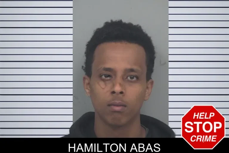 Hamilton Abas