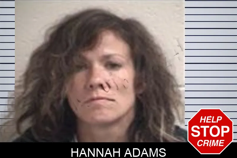 Hannah Adams Mugshots