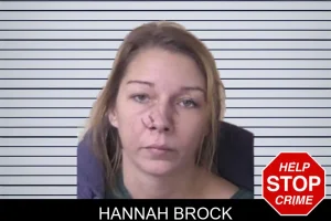 Hannah Brock mugshot