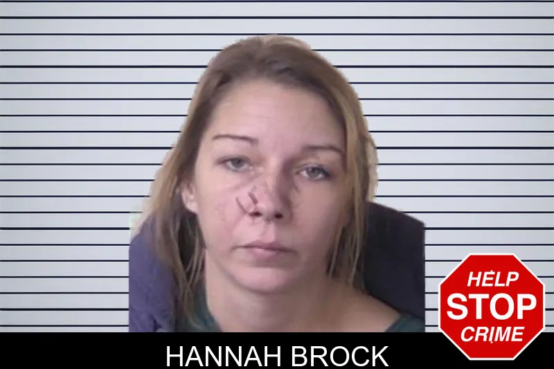 Hannah Brock mugshot – Walker County , Georgia Hannah Brock mugshot