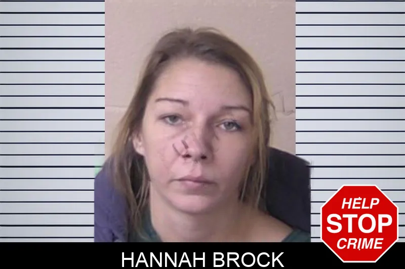 Hannah Brock Mugshots