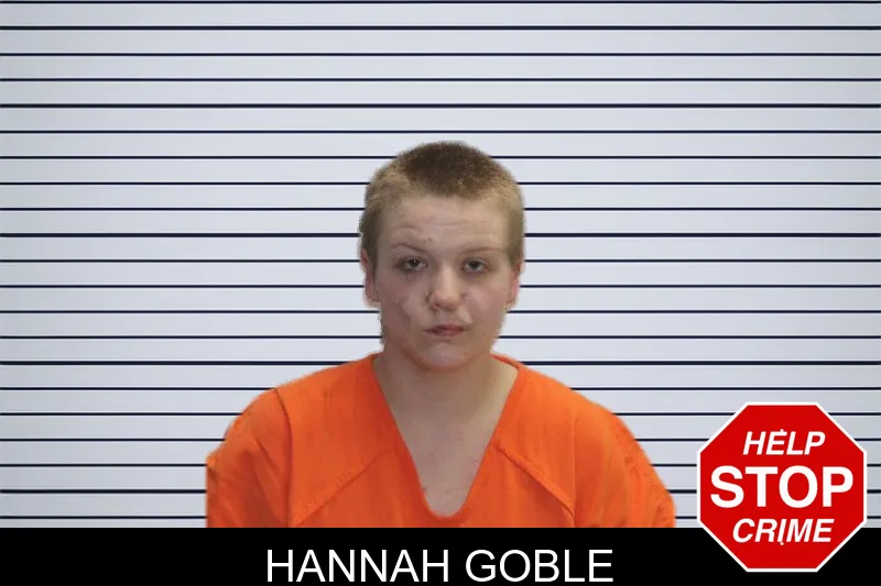 Hannah Goble Mugshots