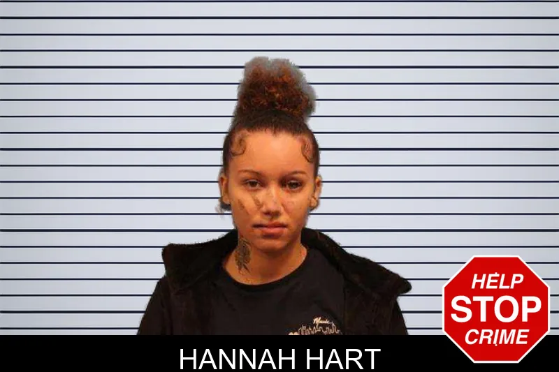 Hannah Hart mugshot – Monroe County , Georgia Hannah Hart mugshot