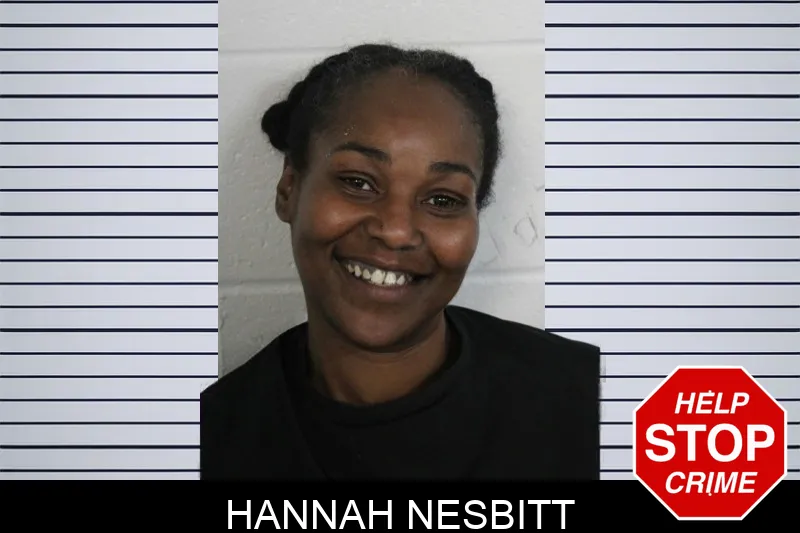 Hannah Nesbitt mugshot