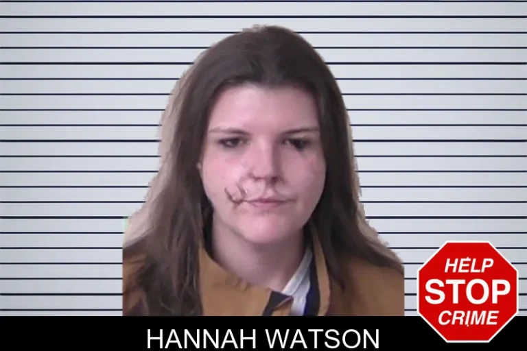 Hannah Watson mugshot – Walker County , Georgia Hannah Watson