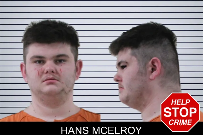 Hans McElroy mugshot