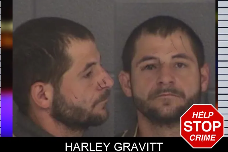 Harley Gravitt Mugshots