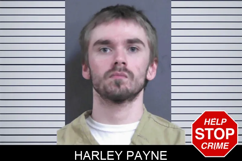 Harley Payne Mugshots