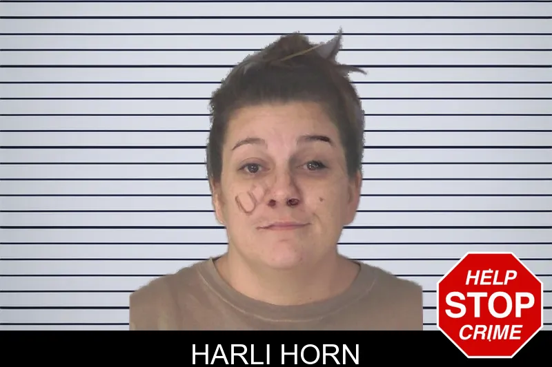Harli Horn Mugshots