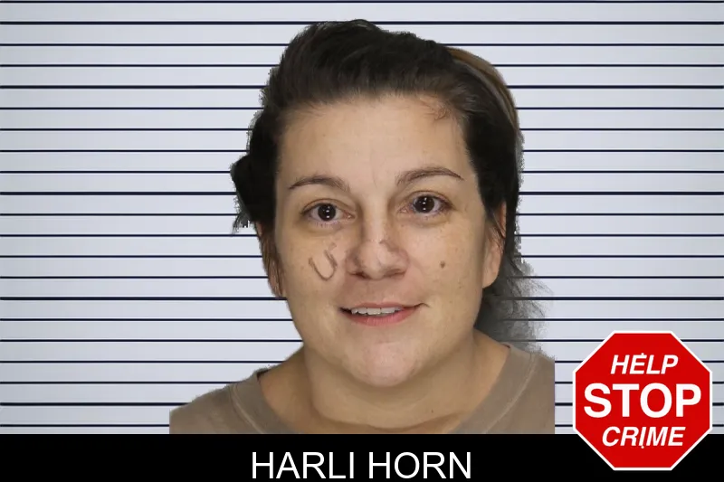 Harli Horn mugshot