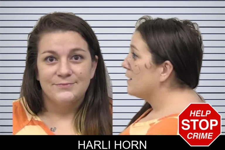 Harli Horn mugshot – Paulding County , Georgia Harli Horn