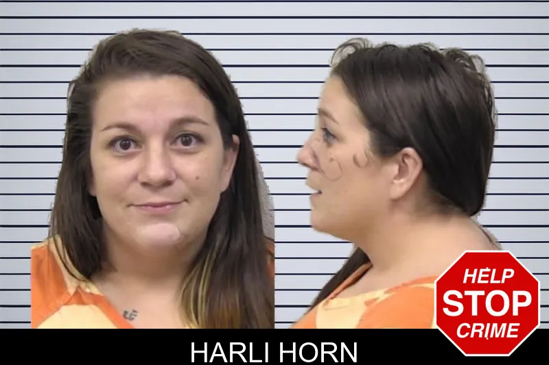 Harli Horn mugshot