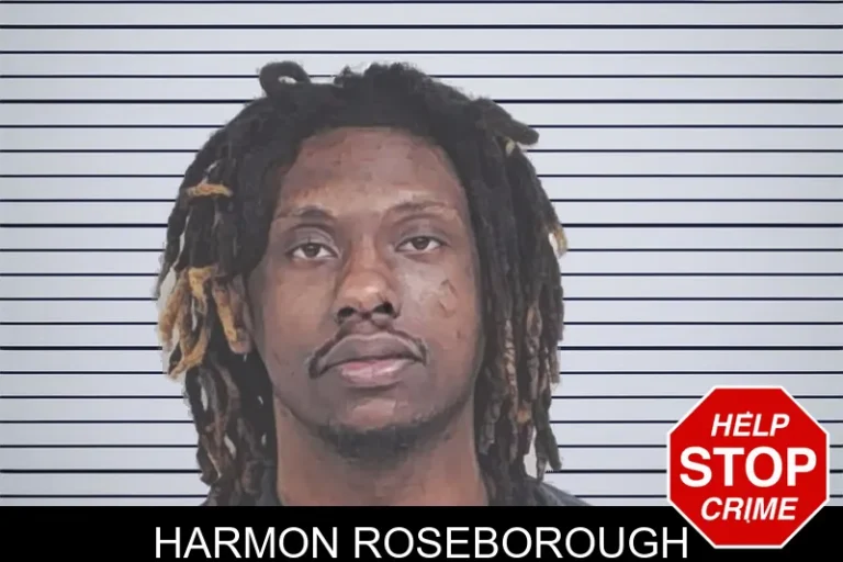 Harmon Roseborough mugshot – Lowndes County , Georgia Harmon Roseborough