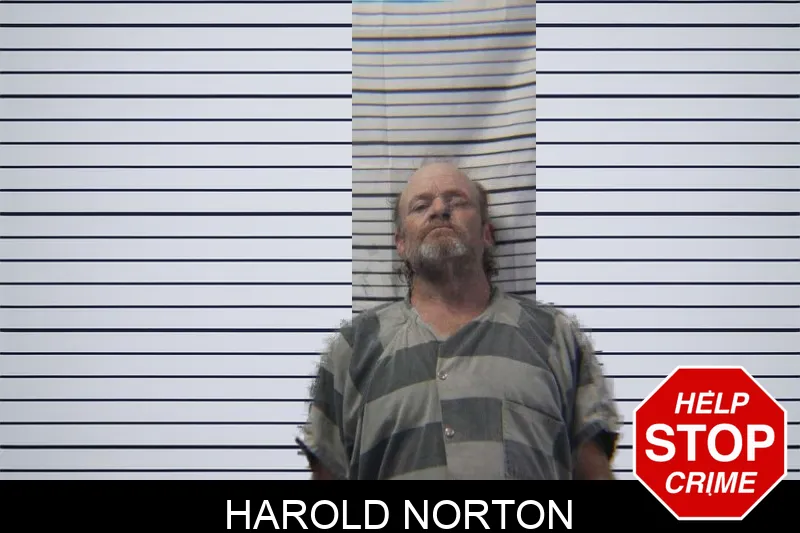 Harold Norton Mugshots