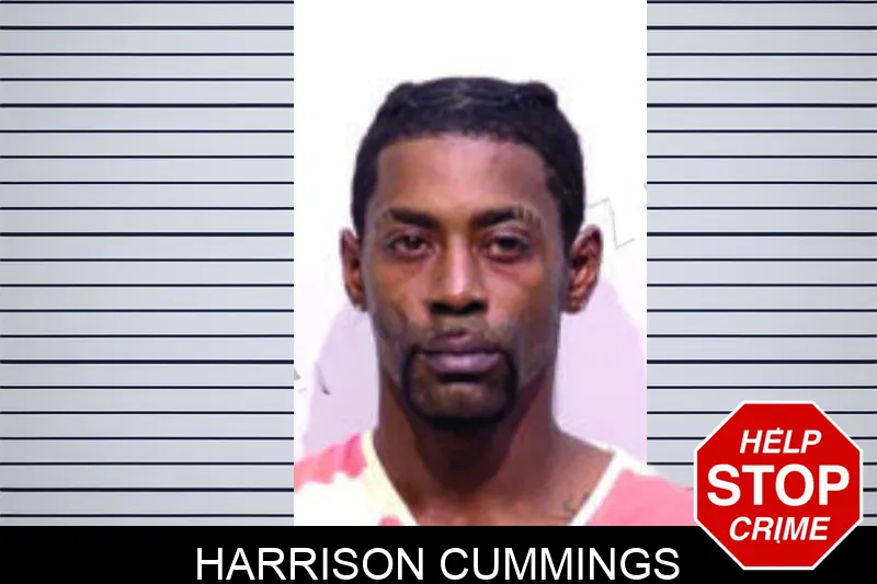 Harrison Cummings mugshot
