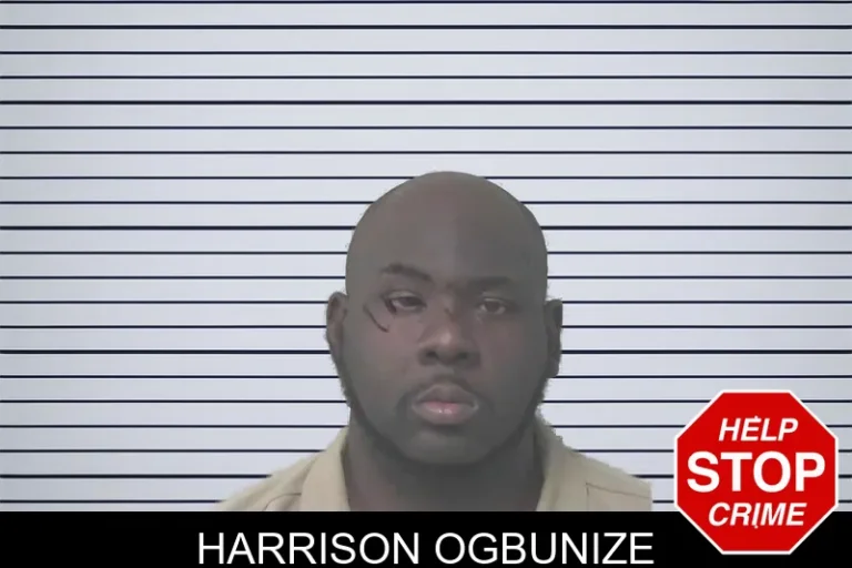 Harrison Ogbunize