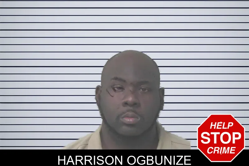 Harrison Ogbunize Mugshots