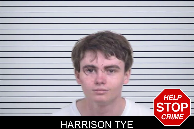 Harrison Tye mugshot