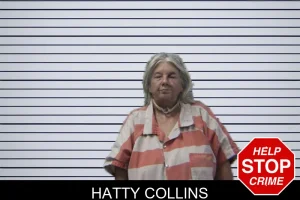 Hatty Collins mugshot