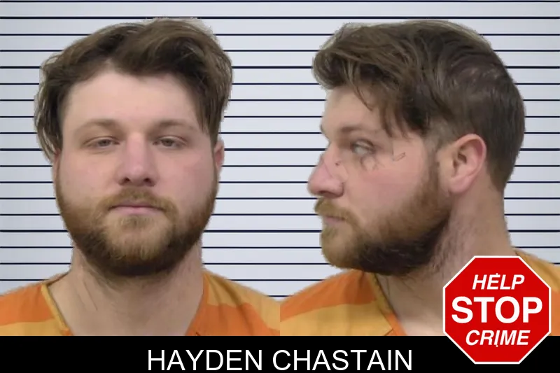 Hayden Chastain mugshot
