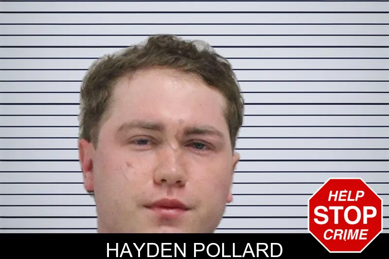 Hayden Pollard Mugshots