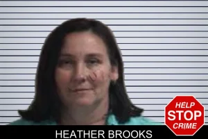 Heather Brooks mugshot