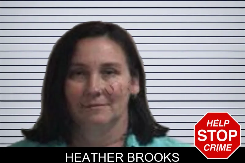 Heather Brooks Mugshots
