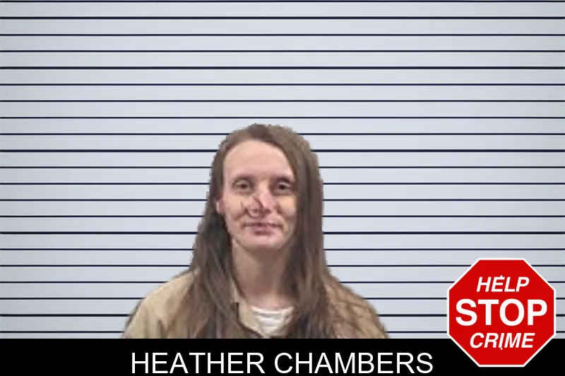 Heather Chambers Mugshots