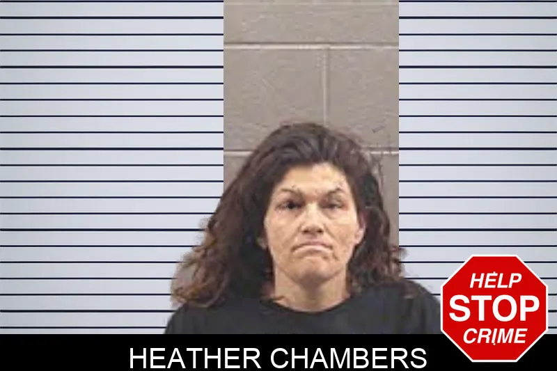 Heather Chambers Mugshots