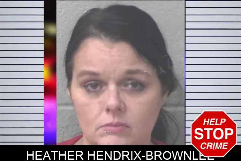 Heather Hendrix-Brownlee